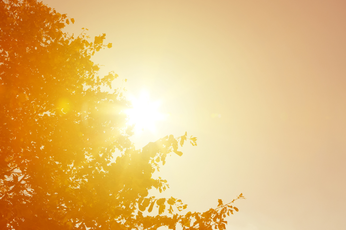 Blutspenden im Sommer